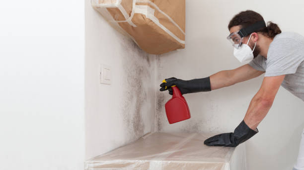 Professional Crawl Space Mold Remediation technician working in Beverly, MA